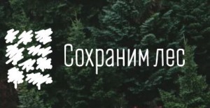 30,000 trees planted in the Novosibirsk region