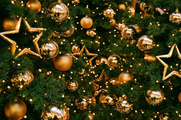 Новый год в СГУГиТ