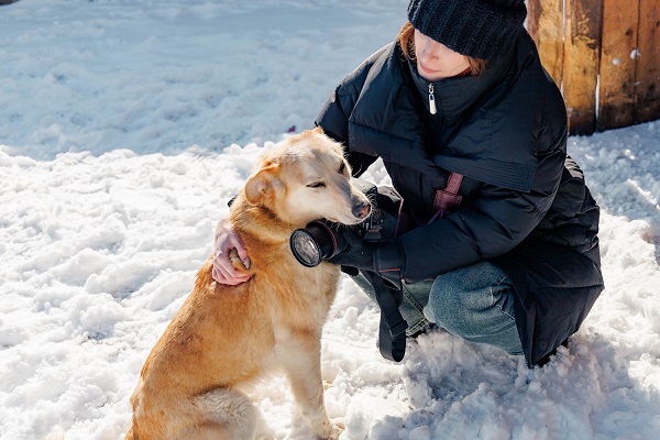 Медиаволонтеры СГУГиТ помогли четвероногим подопечным приюта «Верность» в поисках своего дом