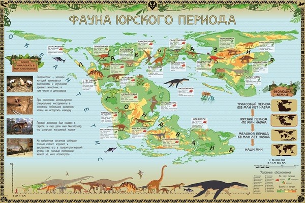 A unique map «Fauna of the Jurassic Period» for children has been created at SSUGT
