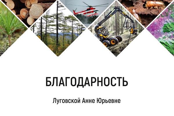 СГУГиТ на высоте: студенты-экологи покоряют всероссийский олимп в области лесоуправления